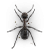 Mound ant illustration