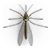 Mosquito illustration