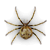 Spider illustration