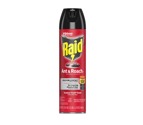 Raid-Ant-and-Roach-Killer-26-Card-2X