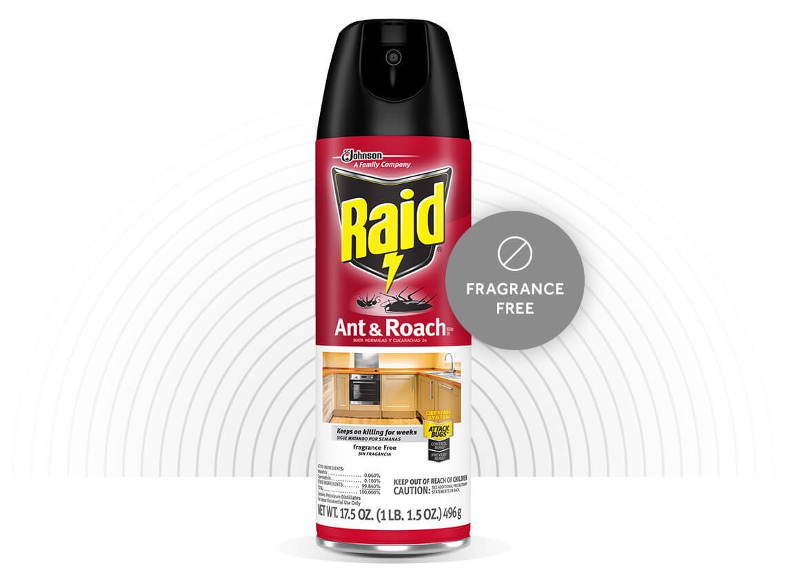 Raid-Ant-and-Roach-Killer-26-Hero-5-EN-2X