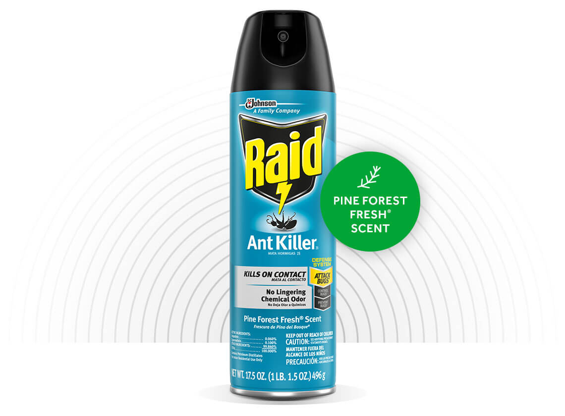 Raid-Ant-Killer-26-Hero-1-EN-2X