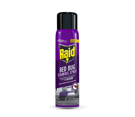 RAID BED BUG FOAMING SPRAY