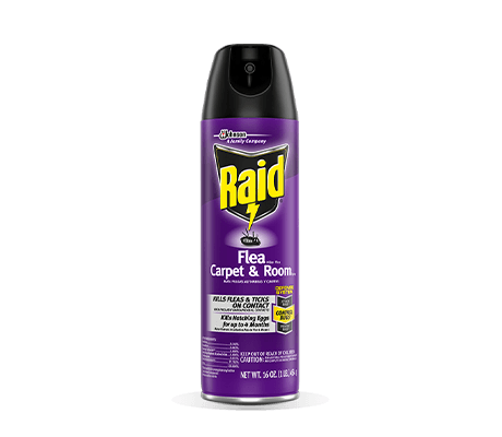 Raid-Flea-Killer-Plus-Carpet-and-Room-Spray-Card-2X