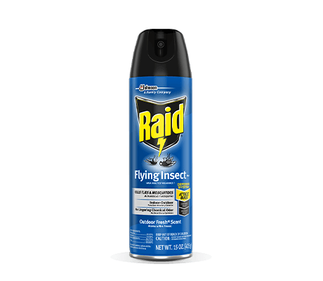 Raid-Flying-Insect-Killer-7-Card-2X