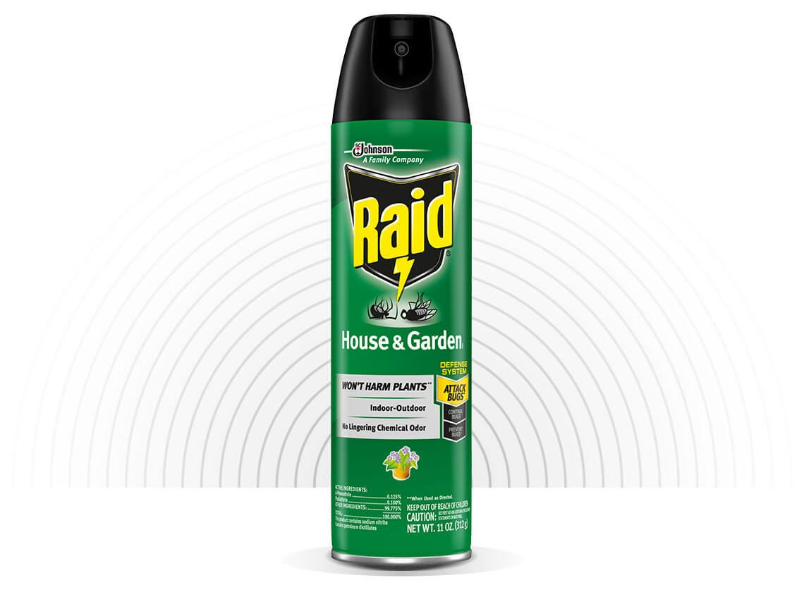 Raid-House-and-Garden-I-Hero-1-2X