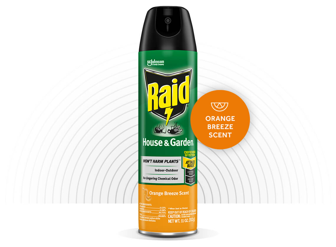 Raid-House-and-Garden-I-Hero-2-EN-2X