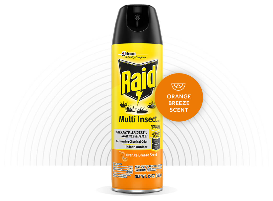 Raid-Multi-Insect-Killer-Hero-2-EN-2X